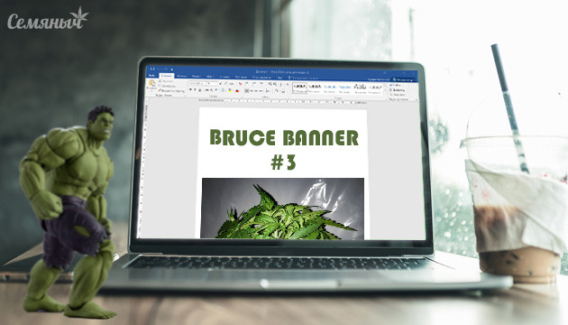 Гроурепорт сорта Bruce Banner #3